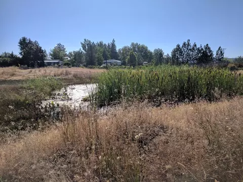 600 E Dutton Rd, Eagle Point, OR 97524 photo 1