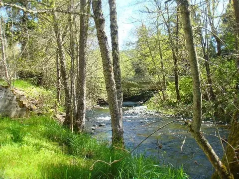 670 E Fork Rd, Williams, OR 97544 photo 3