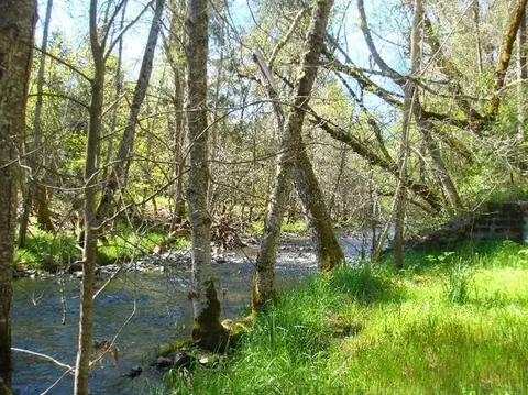 670 E Fork Rd, Williams, OR 97544 photo 2
