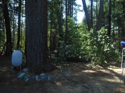 2340 Laurel Rd, Cave Junction, OR 97523 photo 8