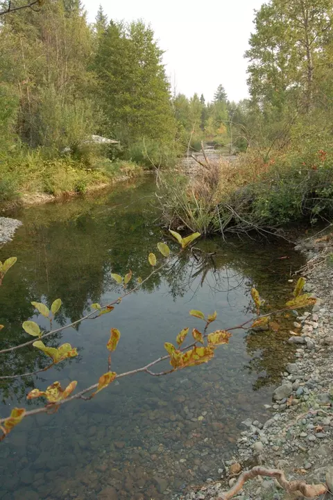 2180 Dick George Rd, Cave Junction, OR 97523 photo 12