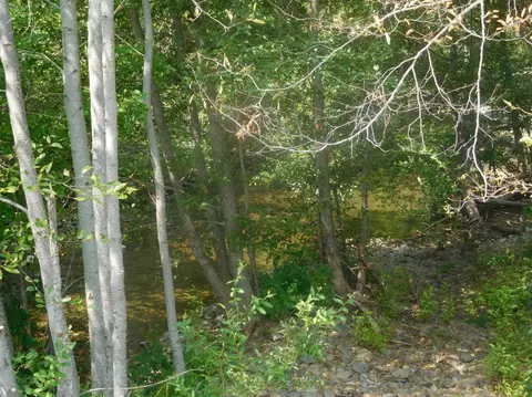 2180 Dick George Rd, Cave Junction, OR 97523 photo 10