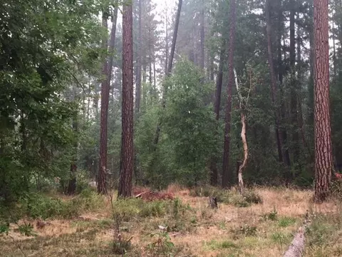 1790 E Fork Rd, Williams, OR 97544 photo 14