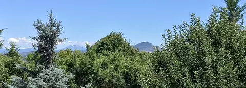 3173 View Cir, Central Point, OR 97502 photo 26
