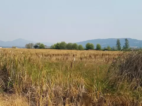 421 E Rolling Hills Dr, Eagle Point, OR 97524 photo 6
