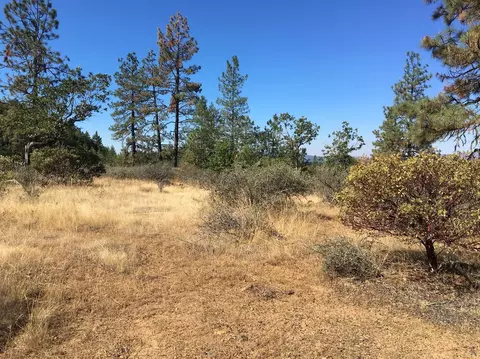 4481 Waldo Rd, Cave Junction, OR 97534 photo 3