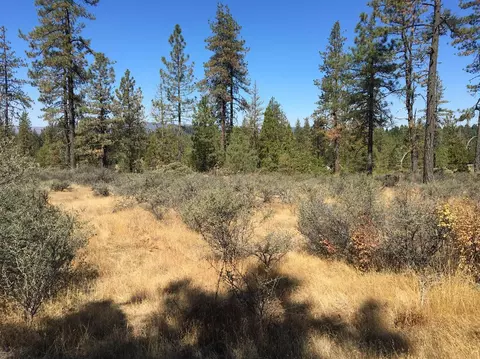 4481 Waldo Rd, Cave Junction, OR 97534 photo 9