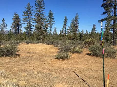 4481 Waldo Rd, Cave Junction, OR 97534 photo 11