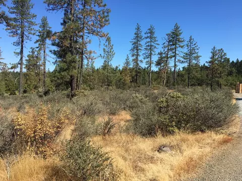 4481 Waldo Rd, Cave Junction, OR 97534 photo 8