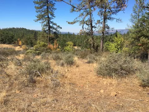 4481 Waldo Rd, Cave Junction, OR 97534 photo 6