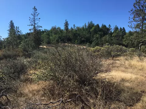 4481 Waldo Rd, Cave Junction, OR 97534 photo 2