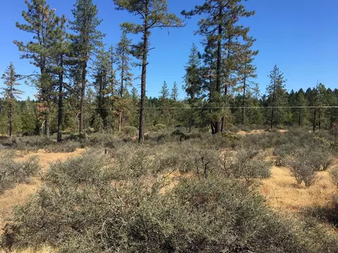 4481 Waldo Rd, Cave Junction, OR 97534 photo 13