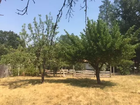2646 Cedar Flat Rd, Williams, OR 97544 photo 14