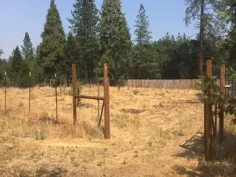 2646 Cedar Flat Rd, Williams, OR 97544 photo 4