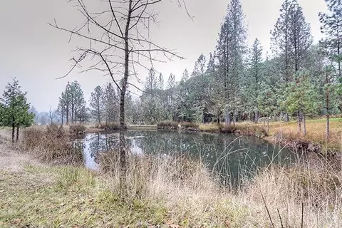 6000 Tunnel Loop Rd, Grants Pass, OR 97526 photo 33