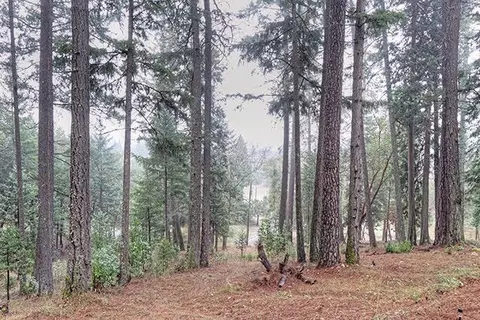 6000 Tunnel Loop Rd, Grants Pass, OR 97526 photo 30