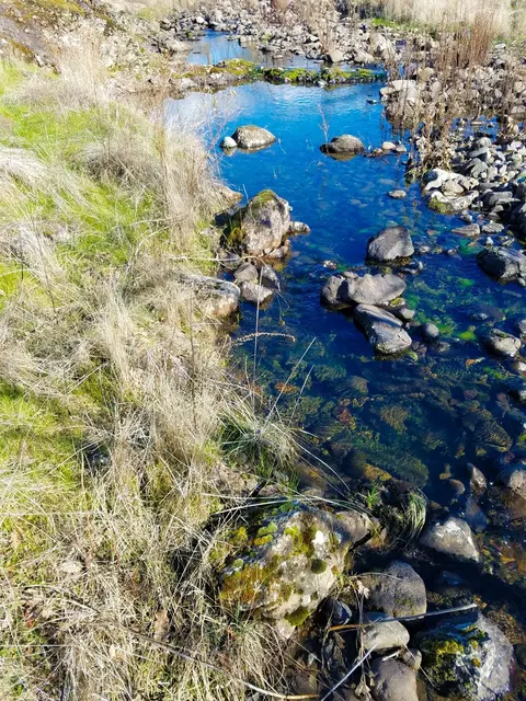 1856 Worthington Rd, Eagle Point, OR 97524 photo 28