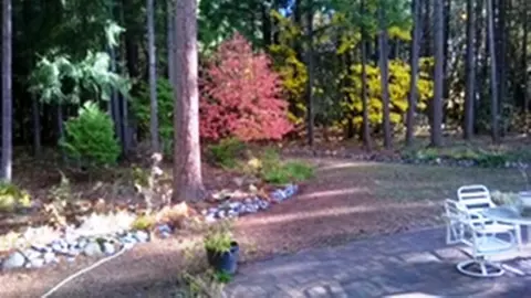 400 Taurus Ln, Cave Junction, OR 97523 photo 11