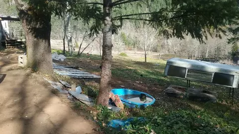 730 Bear Creek Rd, Cave Junction, OR 97523 photo 2