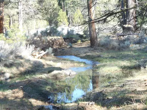 31460 Sprague River Rd, Sprague River, OR 97639 photo 22