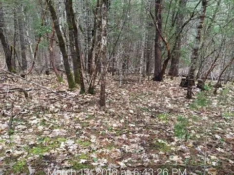 225 E Crow Rd, Merlin, OR 97532 photo 8