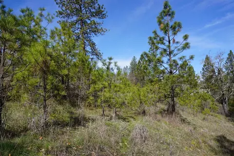 1400 Ironwood Dr, Eagle Point, OR 97524 photo 6