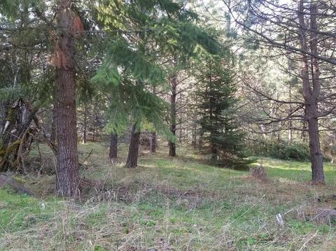 16079 E Antelope Rd, Eagle Point, OR 97524 photo 18