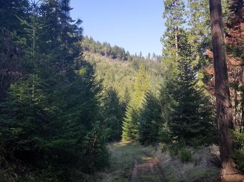 16079 E Antelope Rd, Eagle Point, OR 97524 photo 19