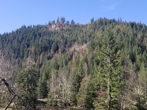 16079 E Antelope Rd, Eagle Point, OR 97524 photo 32