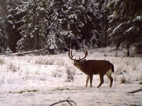 16079 E Antelope Rd, Eagle Point, OR 97524 photo 4