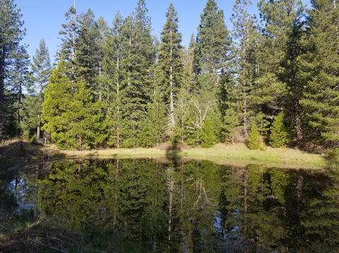 16079 E Antelope Rd, Eagle Point, OR 97524 photo 2