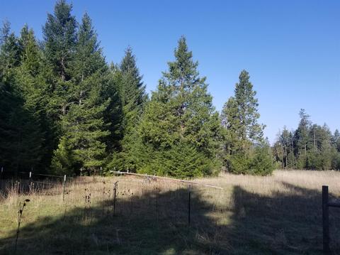 16079 E Antelope Rd, Eagle Point, OR 97524 photo 24