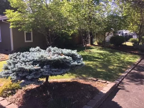 344 Shadow Lawn Dr, Eagle Point, OR 97524 photo 5