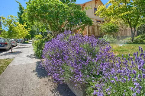 41 Gresham St, Ashland, OR 97520 photo 29
