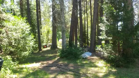 446 Red Blanket Rd, Prospect, OR 97536 photo 4