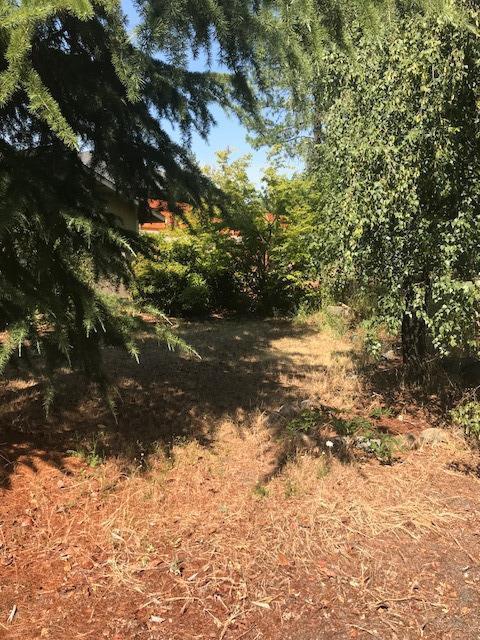249 Shadowbrook Dr, Cave Junction, OR 97523 photo 26