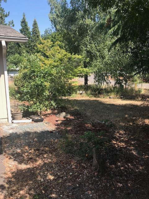 249 Shadowbrook Dr, Cave Junction, OR 97523 photo 25