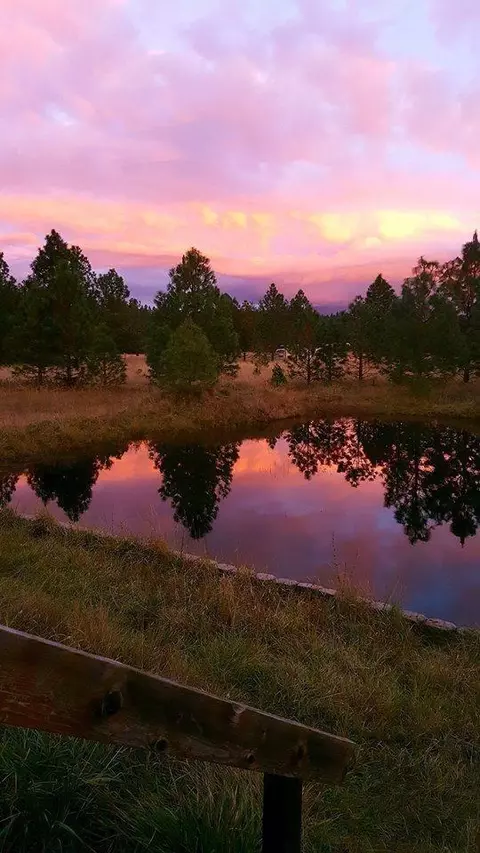 245 Prottsman Way, Cave Junction, OR 97523 photo 9