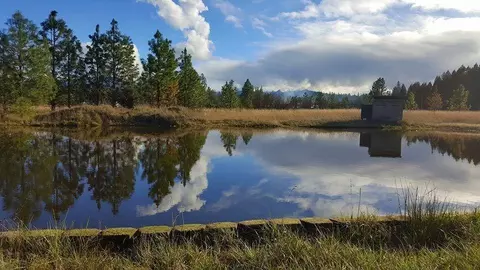 245 Prottsman Way, Cave Junction, OR 97523 photo 10