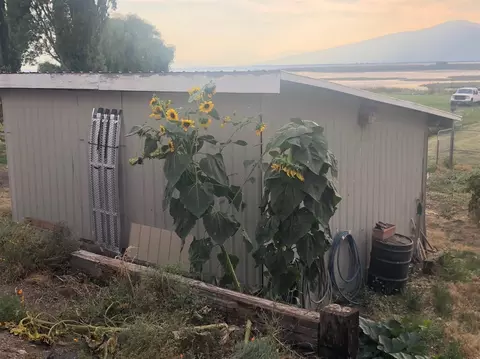 38484 Modoc Point Rd, Chiloquin, OR 97624 photo 16