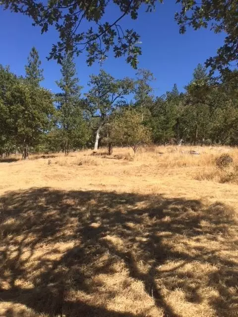331 Meadowbrook Ln, Williams, OR 97544 photo 23