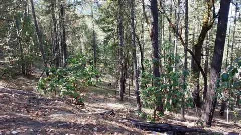 1087 Sheraton Dr, Williams, OR 97544 photo 12