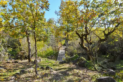 11252 Butte Falls Hwy Hwy, Eagle Point, OR 97524 photo 12