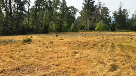 6442 Holland Loop, Cave Junction, OR 97523 photo 9