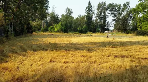 6442 Holland Loop, Cave Junction, OR 97523 photo 6