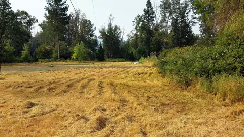 6442 Holland Loop, Cave Junction, OR 97523 photo 8