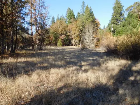 220 Lamont Way, Cave Junction, OR 97523 photo 2