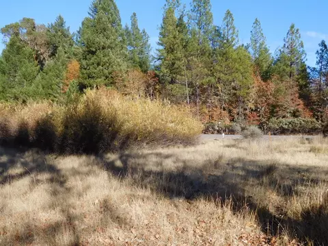 220 Lamont Way, Cave Junction, OR 97523 photo 3