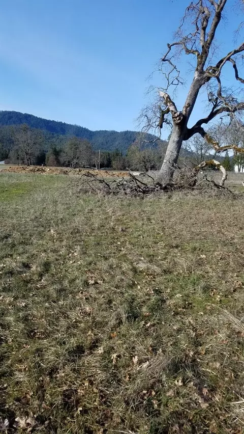 3065 Cedar Flat Rd, Williams, OR 97544 photo 12
