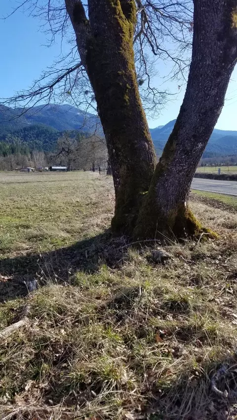 3065 Cedar Flat Rd, Williams, OR 97544 photo 3